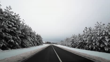 POV-of-car-driving-on-snowy-frosty-asphalt-road-surrounded-by-snow-covered-pine-trees-in-winter