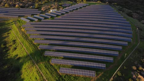 Establisher-aerial-drone-view-of-large-Photovoltaic-Power-Station-on-grass-field