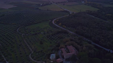 Plantación-De-Olivos-En-La-Toscana-Italiana-Durante-La-Puesta-De-Sol,-Antena