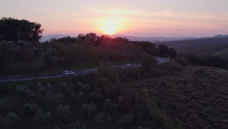 Bright-sunset-at-road-side-olive-tree-plantation-in-Tuscany,-aerial