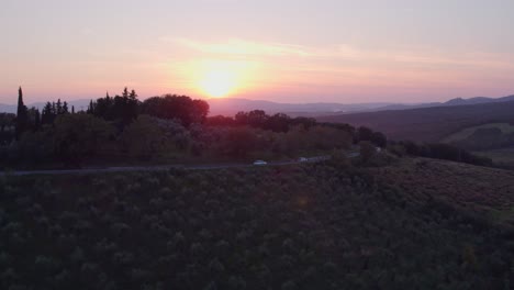 Bunter-Sonnenuntergang-Mit-Olivenbaumgarten-In-Der-Toskanischen-Landschaft,-Antenne