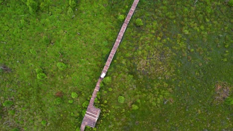 drone-shot-of-the-newly-married-couple-with-wedding-outfits,-wedding-dress-and-suit-walking-on-the-narrow-wooden-path-surrounded-by-trees-and-greenery,-top-down-shot