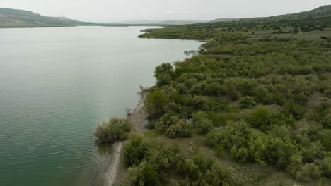 Dalis-Mta-water-reservoir-shoreline-with-bush-vegetation-in-Georgia