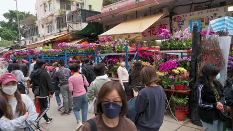 Menschen-Kaufen-Dekorative-Blumen-Und-Pflanzen-Zum-Chinesischen-Neujahrsthema-An-Einem-Blumenmarkt-Straßenstand-Vor-Den-Feierlichkeiten-Zum-Chinesischen-Neujahrsfest-Nach-Dem-Mondkalender