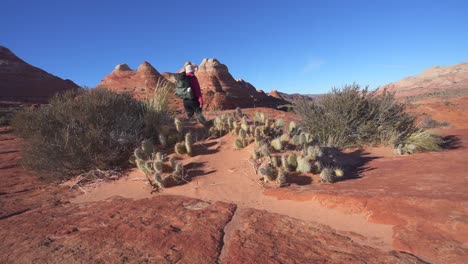 Hiker-walks-past-cactus-and-shrubs-in-Arizona-desert-toward-buttes
