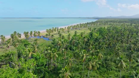 Drone-view-over-palm-trees-and-beach-of-playa-Bahia-Esmeralda,-Miches,-Dominican