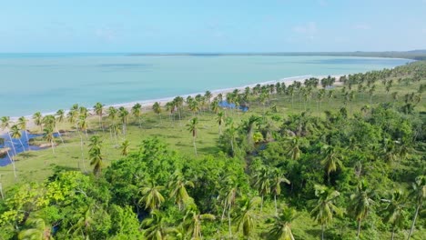 Playa-Bahia-Esmeralda,-Miches,-Dominikanische-Republik.-Luftaufnahme