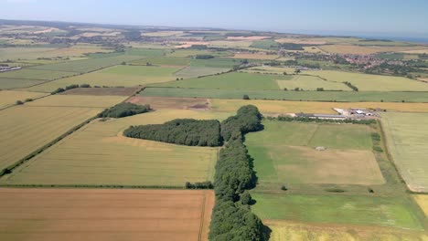 Luftbild-Von-Gelben-Und-Grünen-Weizenfeldern-Auf-Landwirtschaftlichen-Flächen