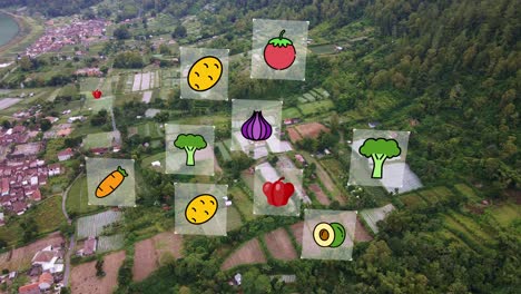 Tecnología-Agrícola-Digital-Que-Detecta-La-Variedad-De-Cultivos-Que-Crecen-En-Los-Campos