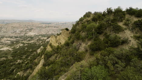 Buschige-Klippe-Auf-Einem-Hügel-über-Einer-Zerklüfteten-Felsschlucht-In-Vashlovani,-Georgia
