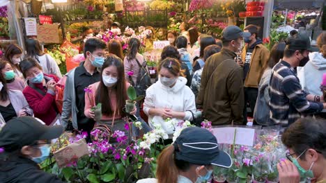 Chinesische-Käufer-Kaufen-Dekorative-Chinesische-Neujahrsthemenblumen-Und-Pflanzen-Wie-Orchideen-An-Einem-Straßenstand-Auf-Dem-Blumenmarkt-Vor-Dem-Chinesischen-Neujahrsfest-Nach-Dem-Mondkalender