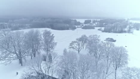 Drone-shot-slowly-revealing-private-homes-and-landscape-covered-with-fresh-winter-snow