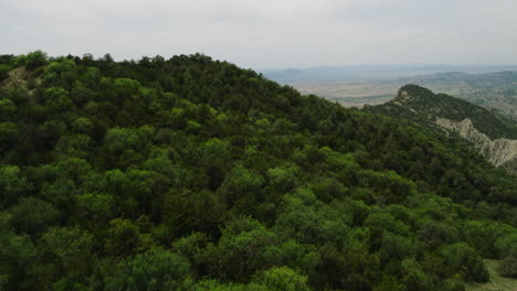 Lush-bush-vegetation-on-hillside-above-Vashlovani-steppe,-Georgia