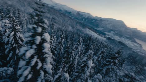 Fpv-curvy-flight-over-snow-capped-conifer-trees-in-mountains-of-Norway-with-frozen-lake-in-the-valley