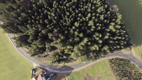 Aerial-bird's-eye-view-drone-of-a-monoculture-block-of-pine-trees-between-grassy-fields,-houses-and-a-road-leading-through-rural-area-with-car-driving-along-road-on-sunny-day,-Austria