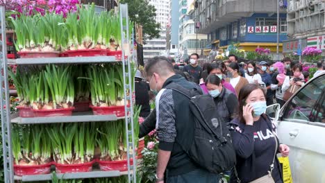 Wassernarzissenpflanze-Zum-Verkauf-Auf-Einem-Blumenmarkt-Während-Des-Chinesischen-Neujahrs