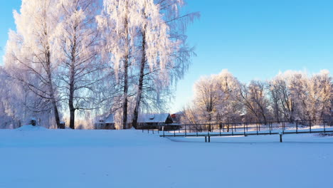 Weißer-Wintermorgen-Auf-Dem-Land-Mit-Raureif-Auf-Sonnenlichtbäumen
