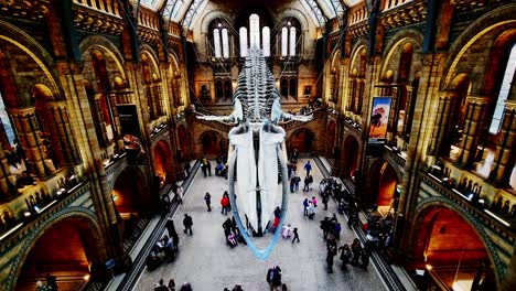 Panoramic-view-of-The-Natural-history-museum-in-London,-UK