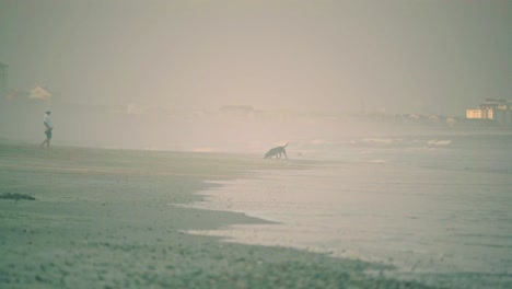 Man-and-dog-walking-along-beach-shore-on-a-misty-morning,-calm-tide-rolling-in