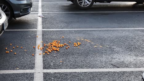 Seagulls-scavenging-spilled-food-in-a-London-car-park