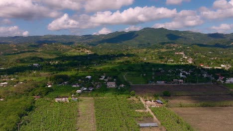 Cultivated-fields-in-Moca-countryside,-Cibao-region-in-Dominican-Republic