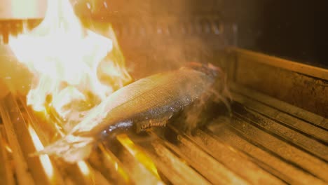 Fish-gets-grilled-and-flames-fly-out