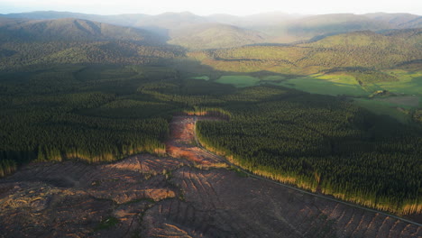 Aerial,-deforestation-site,-land-cleared-for-agriculture
