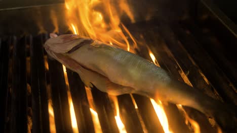 Fish-is-grilled-while-surrounded-by-flames