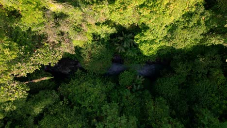 Top-down-aerial-view-of-pristine-river-in-tropical-jungle-green-rainforest-4k-Indonesia