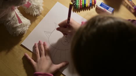 Kind-Lernt,-Wie-Man-Eine-Katze-In-Seinem-Eigenen-Kunstklassenzimmer-Zeichnet