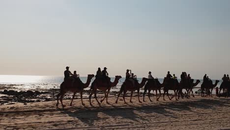 Bandada-De-Camellos-Que-Llevan-Turistas-A-Lo-Largo-De-La-Costa