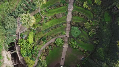 Lowering-aerial-shot-of-a-sinkhole-in-Australia-that-has-been-turned-into-a-secret-garden