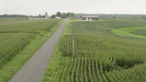 Aerial,-rural-countryside-farmland-road,-crops-growing-on-an-overcast-day