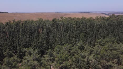 Aerial-shot-slowly-revealing-training-ground-country-road-of-Israeli-army-through-trees