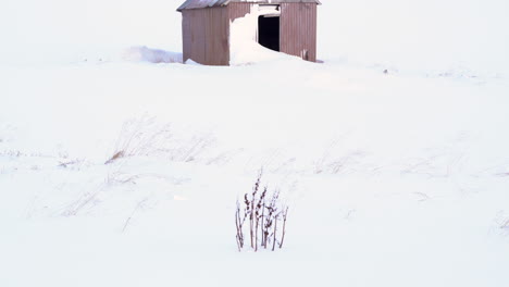 Tilt-up,-winter-scenery,-small-abandoned-cabin-covered-in-snow