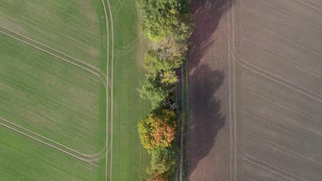 Draufsicht-Drohnenaufnahmen-Von-Landstraße-Und-Baumgrenze-In-Der-Nähe-Der-Straße-Mit-Herbstfarben,-Aufgenommen-Am-Ort-Uetz-In-Brandenburg,-Deutschland