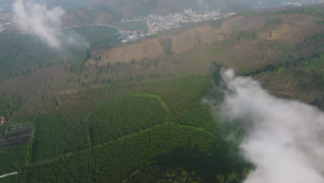 Aerial-flyover-of-coffee-plantations-with-clouds-in-the-foreground-in-Antigua,-Guatemala