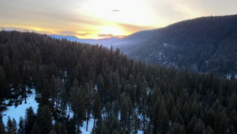 Aerial-View-of-Cariboo-Region's-Forest-in-Winter-Sunrise