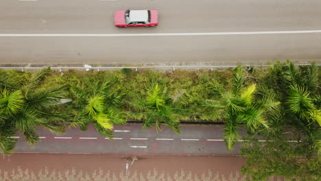 aerial-top-down-asphalted-road-highway-with-tropical-palm-green-tree-and-cars-traffic-driving-fast-drone-zoom-out