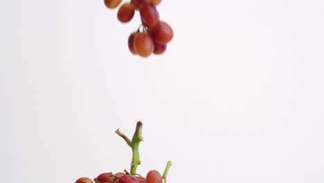 Bunches-of-plump-red-grapes-on-the-vine-raining-down-on-white-backdrop-in-slow-motion