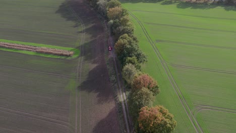 Areal-view-drone-footage-of-country-road-as-long-at-landscape-with-autumn-colors-taken-at-place-called-Uetz-in-Brandenburg,-Germany