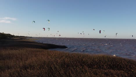 Aerial-forward-flight-over-grassy-coastline-of-River-and-many-kitesurfer-surfing-on-water-during-sunset-in-Buenos-Aires