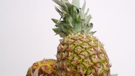 Two-whole-yellow-pineapples-falling-and-bouncing-into-each-other-on-white-backdrop-in-slow-motion