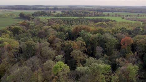 Areal-drone-footage-of-trees-with-autumn-colors-taken-at-place-called-Uetz-in-Brandenburg,-Germany