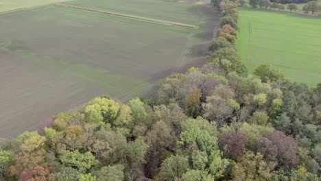 Areal-drone-footage-of-country-road-and-trees-with-autumn-colors-taken-at-place-called-Uetz-in-Brandenburg,-Germany