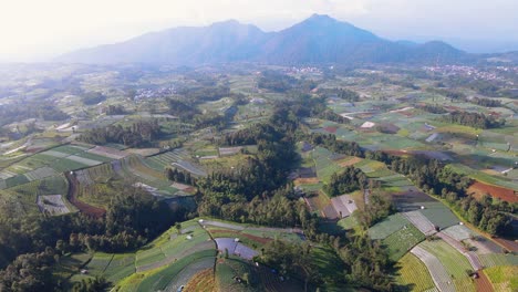 Luftaufnahme-Des-Farbenfrohen-Und-Schönen-Musters-Von-Gemüseplantagen-In-Java,-Indonesien
