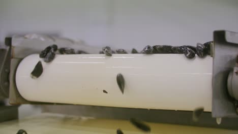 Mussels-falling-off-the-conveyor-belt-in-slow-motion-in-a-factory