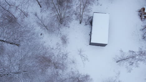 Single-modern-bungalow-nestled-between-trees-in-winter-season---aerial-top-down