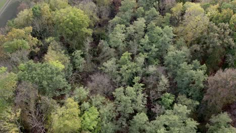 Imágenes-De-Drones-Aéreos-De-árboles-Con-Colores-Otoñales-Tomadas-En-Un-Lugar-Llamado-Uetz-En-Brandeburgo,-Alemania