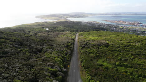 Aerial-dolly-out-revealing-a-solitary-narrow-road-in-Bluff-viewpoint
